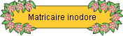 en arrière